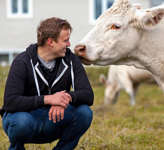 Agriculteur souriant avec vache