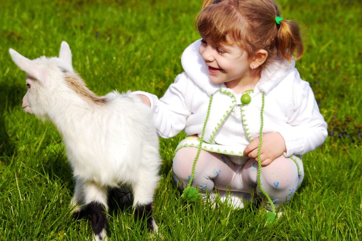 Petite fille avec une chèvre