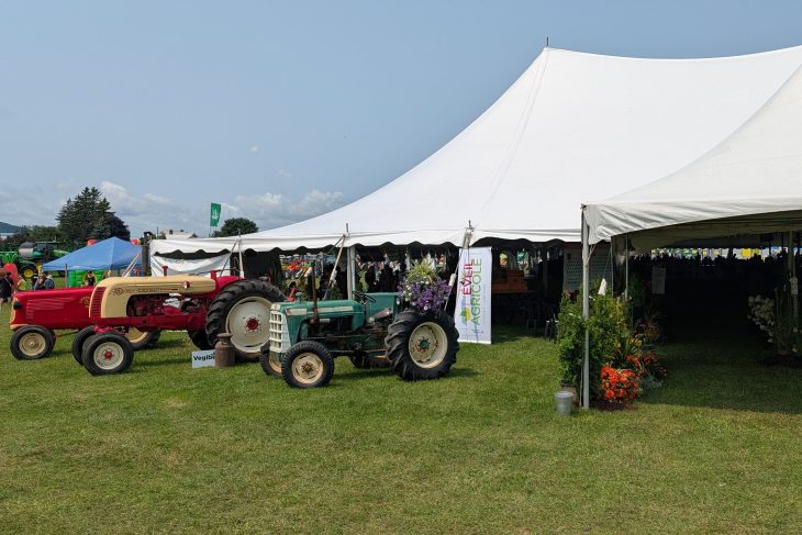 Sous un chapiteau, deux tracteurs anciens sont exposés près d’un stand fleuri, dans une fête agricole en plein air